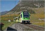 The new TPC ASD ABe 4/8 472 is in the vineyards over Aigle on the way to Les Diablerets . 

02.11.2024