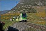 When the sun is low, the light reaches the Château d'Aigle too late for it to be adequately illuminated as a background for railway pictures and so I had to look for a new location for this photo, where the TPC ASD ABe was in the middle of the vineyards above Aigle 4/8 472 was photographed as R 71 on the way to Les Diablerets.

November 2, 2024