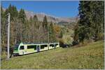 The TPC ASD ABe 4/8 472 by Vers l'Église on the way to Les Diablerests. This is the ASD service R71 440 from Aigle to Les Diablrets.
14.10.2025 The TPC ASD ABe 4/8 472 by Vers l'Église on the way to Les Diablerests. This is the ASD service R71 440 from Aigle to Les Diablrets.
14.10.2025