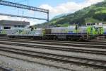 BLS 843 502 in Frutigen on 30 June 2013.
