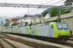 On 5 June 2009 Spiez saw this BLS loco train, headed by 485 008.