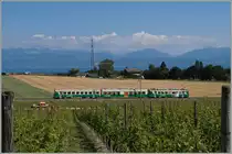 BAM local train near Vufflens-le-Château.
16.06.2014