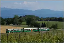 BAM local train near Vufflens-le-Château.
16.06.2014 
