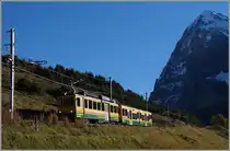 A WAB local train betweeen Wengeralp and Kleine Scnheidegg.
09.10.2014