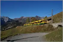 A WAB local train betweeen Wengeralp and Kleine Scnheidegg.
09.10.2014