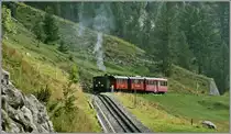 DFB-Steamer from Gletsch to Oberwald near Oberwald.
16.08.2014