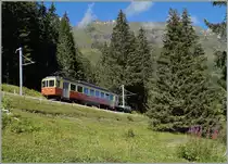 The BLM Be 4/4 31  Lisi  between Grütschalp and Winteregg. 28.08.2014