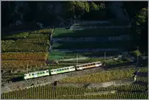 A-L Local train near Aigle. 
18.10.2014