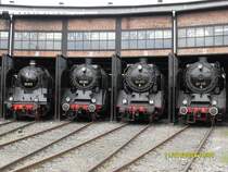 Museum summer night in 2009,
www.igbwdresdenaltstadt.de