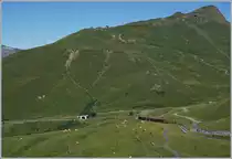 View on the Kleine Scheidegg with WAB und JB trains.

08.08.2016