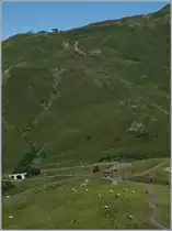 View on the Kleine Scheidegg with WAB und JB trains.

08.08.2016