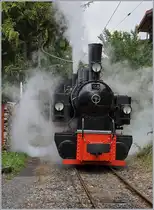 The Blonay-Chamby G 2x 2/2 105 in Chaulin.

13.06.2020