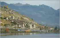 Re 460 020-1  id�e suisse  with a IR by St-Saphorin.
04.11.2010
