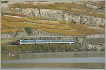 A local train from Villeneuve to Yverdon between St-Saphorin an Rivaz. 
04.11.2010