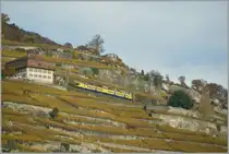 The  Train des Vignes  (Vineyard train) between Vevey and Chexbres Village. 
04.11.2010