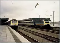 Birds... 
HSTs in Cardiff on the November 2000.
(Analog pictures from the CD)